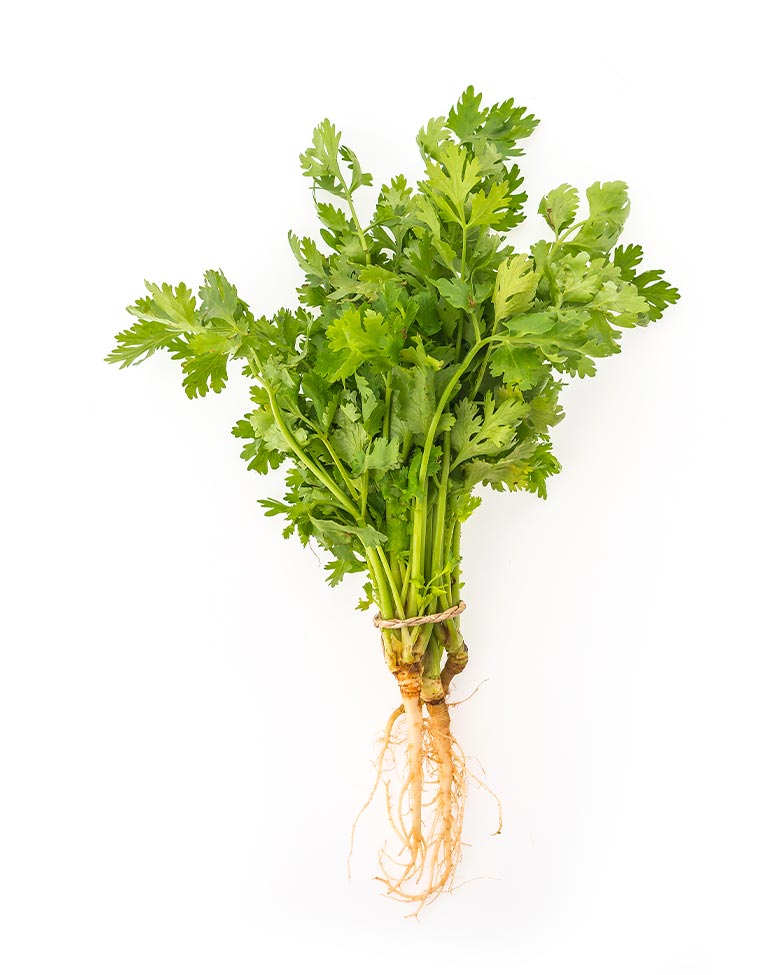 Parsley